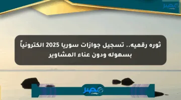 ثورة رقمية.. تسجيل جوازات سوريا 2025 إلكترونياً بسهولة ودون عناء المشاوير